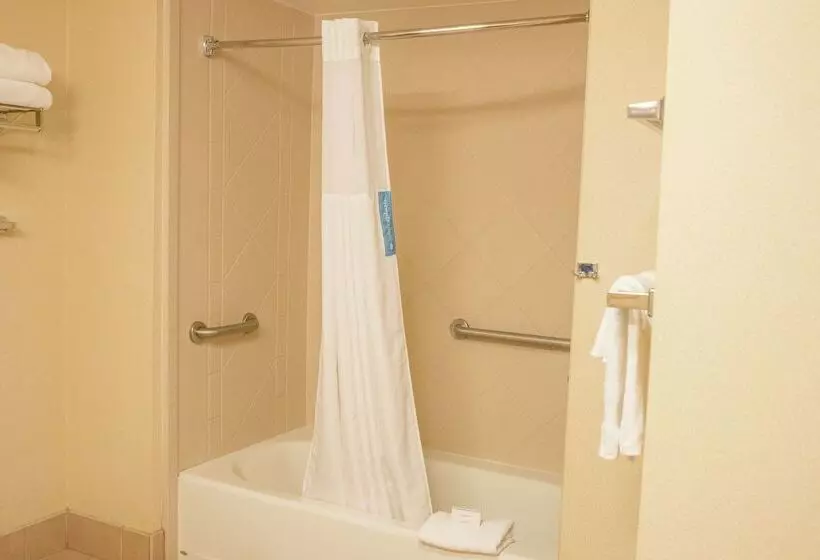 فندق Hampton Inn & Suites Lathrop