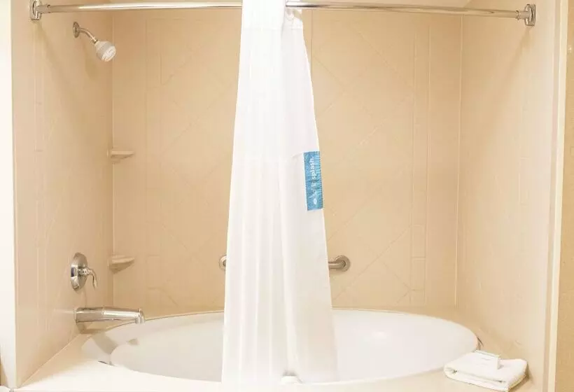 فندق Hampton Inn & Suites Lathrop