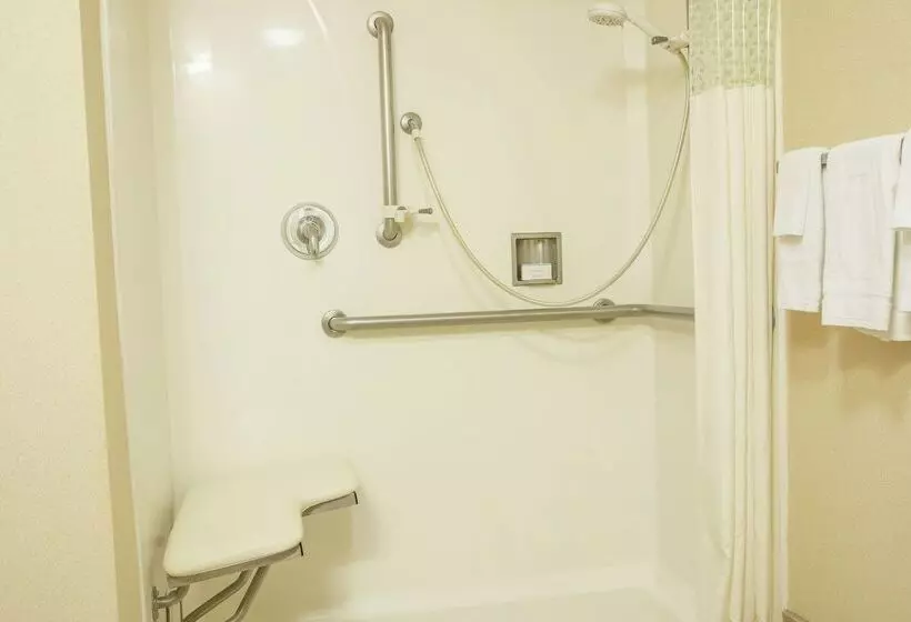 فندق Hampton Inn & Suites Lathrop