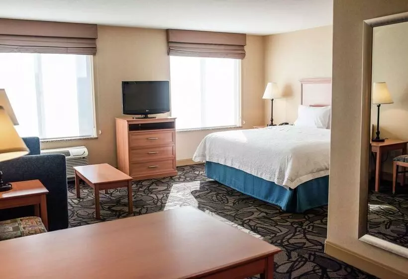 فندق Hampton Inn & Suites Lathrop