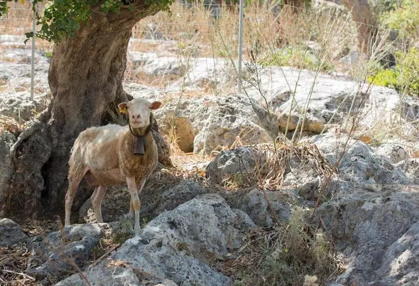 Сельский отель Finca Can Beneit