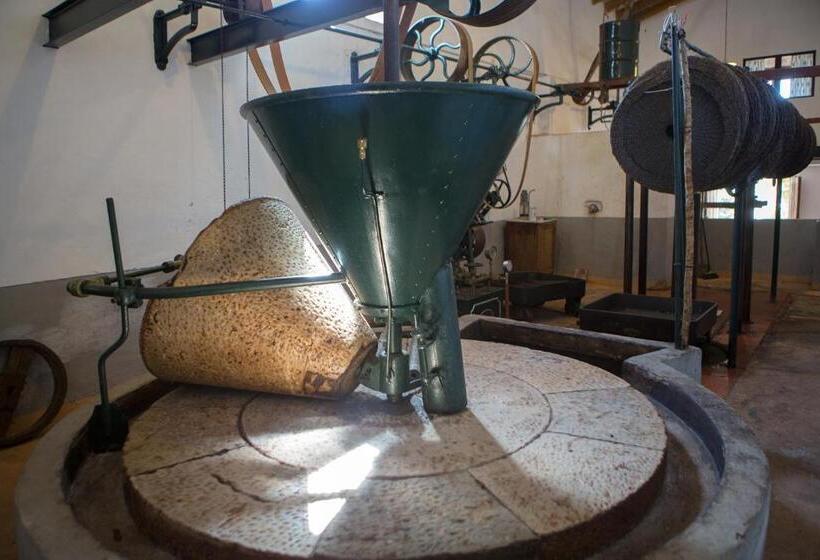 田舎風ホテル Finca Can Beneit