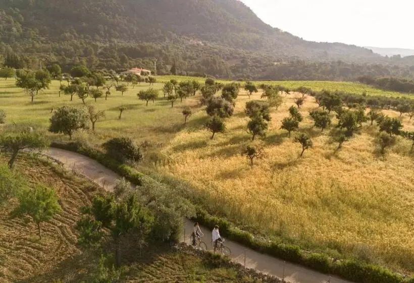 Сельский отель Finca Can Beneit