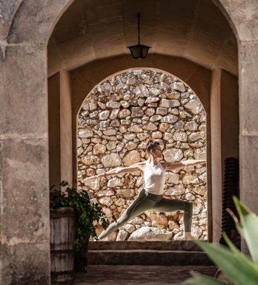 田舎風ホテル Finca Can Beneit