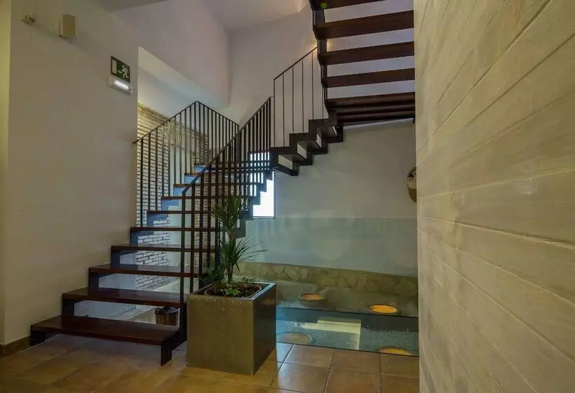 乡村酒店  La Sitja  Adults Only