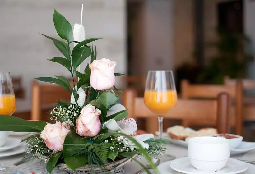 乡村酒店  La Sitja  Adults Only