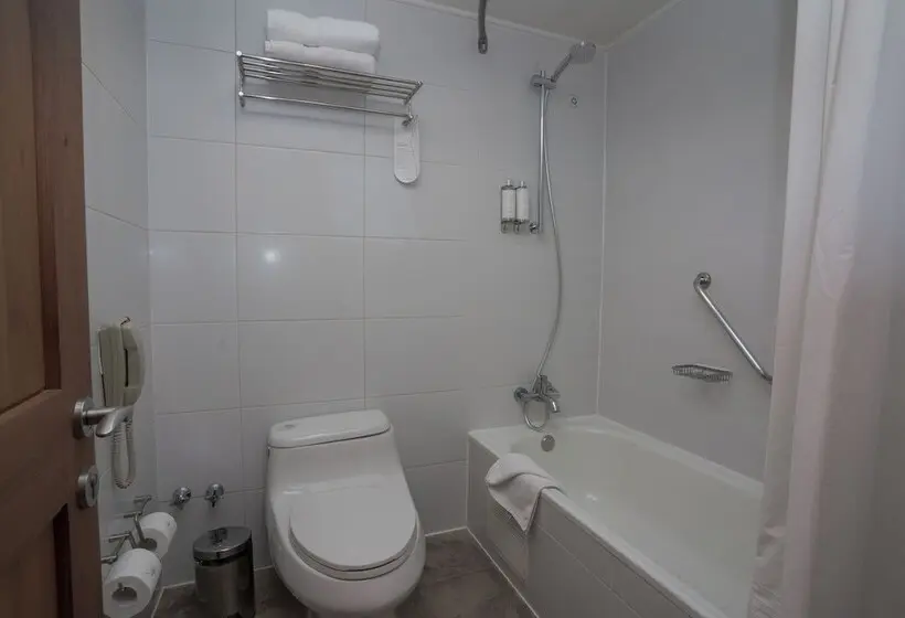 酒店 Wyndham Puerto Varas Pettra