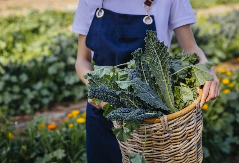 호텔 Six Senses Shaharut