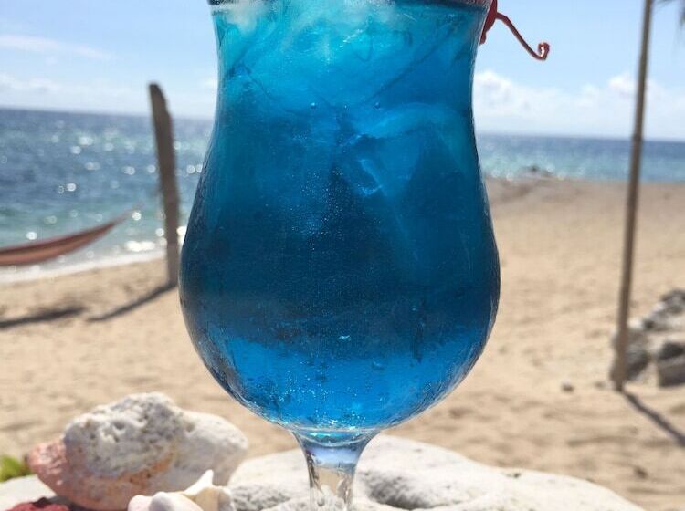 酒店 Tablas Point Resort