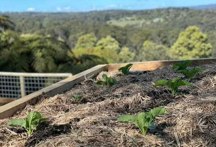 Aamiaismajoitus (B&B) Cloud View Garden