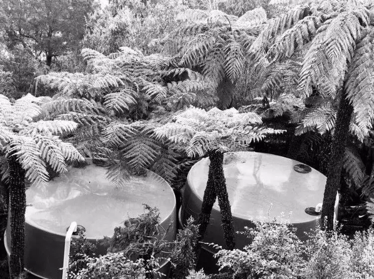 Aamiaismajoitus (B&B) Cloud View Garden