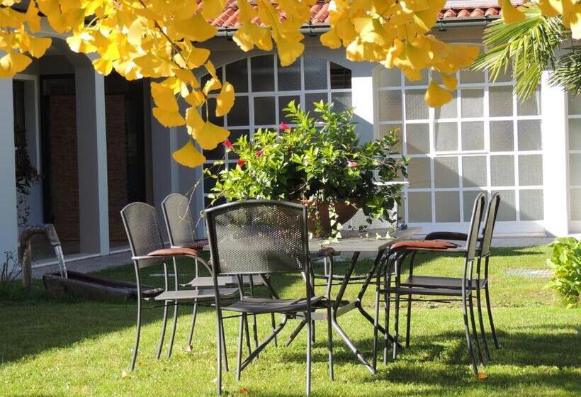 פנסיון Ginkgo Guest House