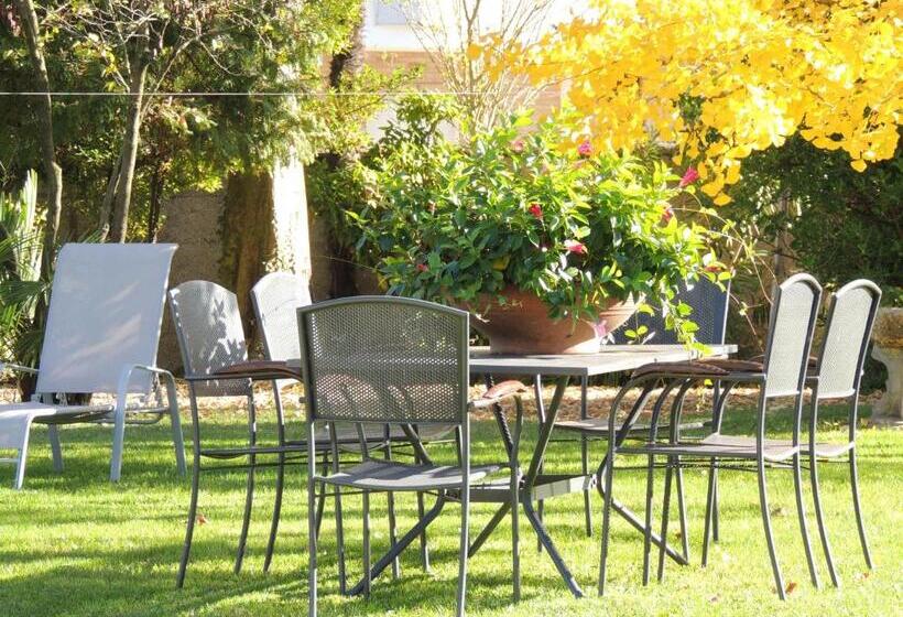 פנסיון Ginkgo Guest House