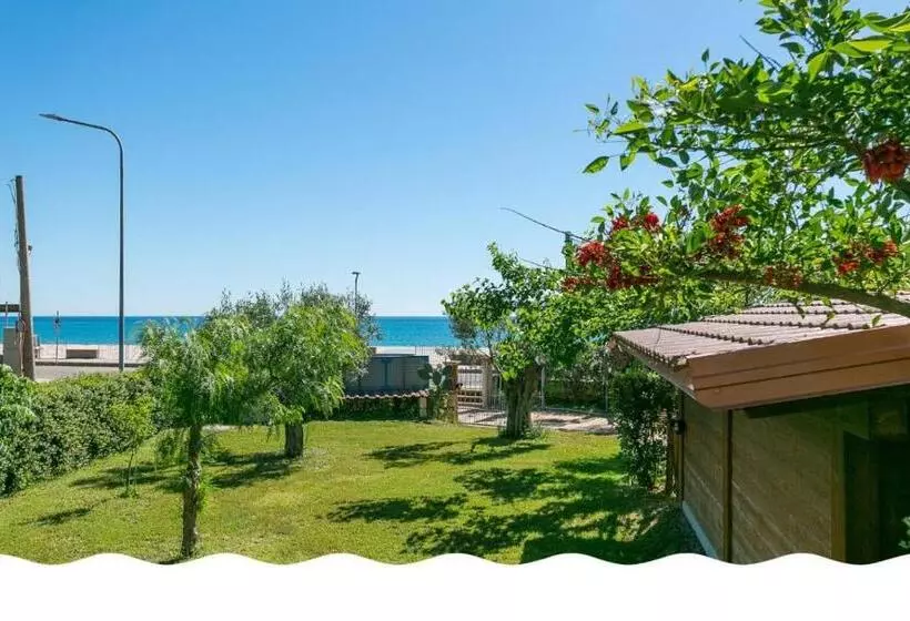 Freedom Village