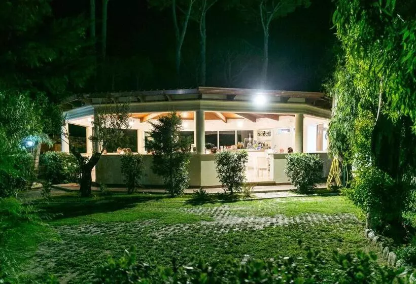 Freedom Village