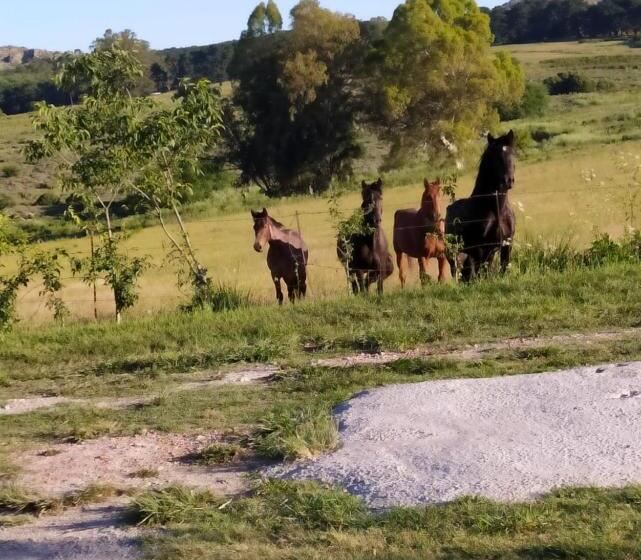Hotel Deptos Del Sur