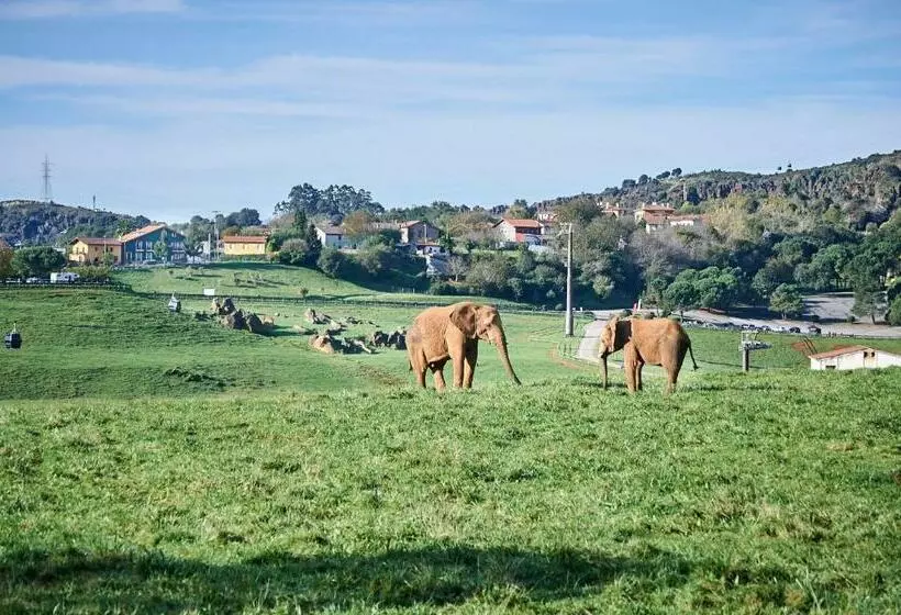 ホテル Posada Naturae