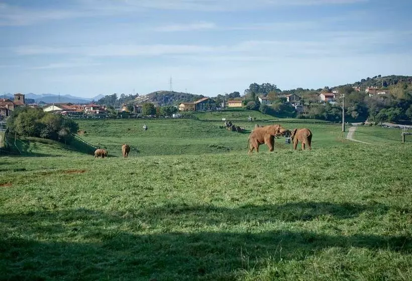 ホテル Posada Naturae