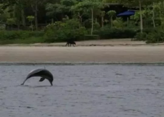 Majatalo Pousada Do Beto Ilha Das Peças