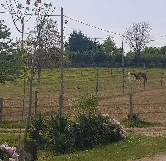ホテル Azienda Agricola Cascina Monticone