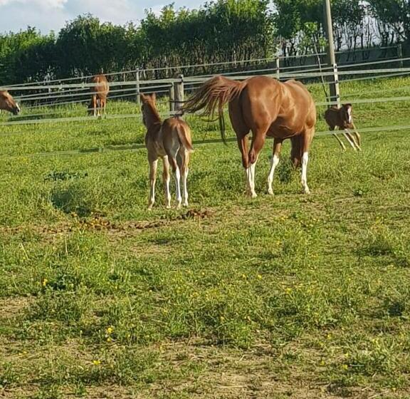 Отель Azienda Agricola Cascina Monticone
