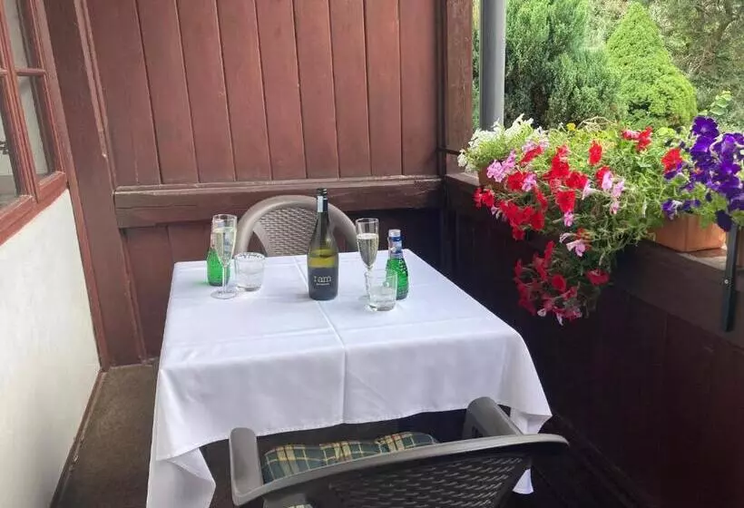 Hotelli Country House & Restaurant Hronec