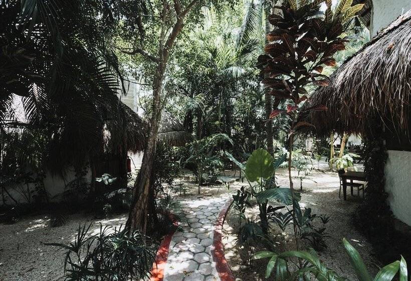 هتل Casa Barbara Holbox