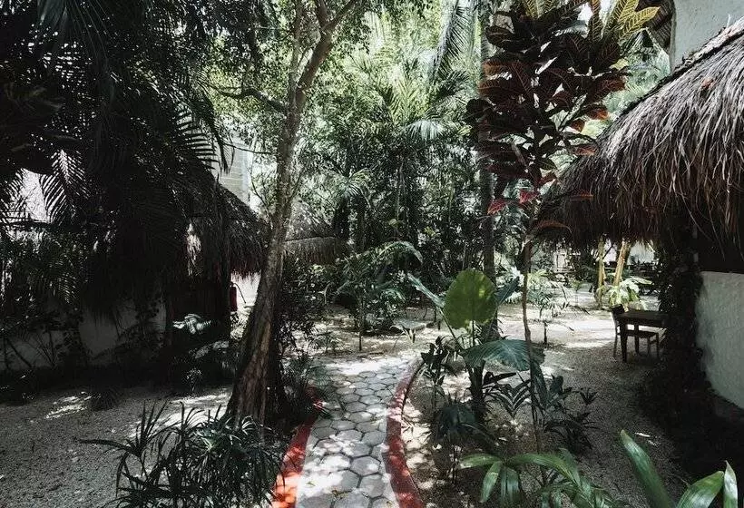 Hotel Casa Barbara Holbox