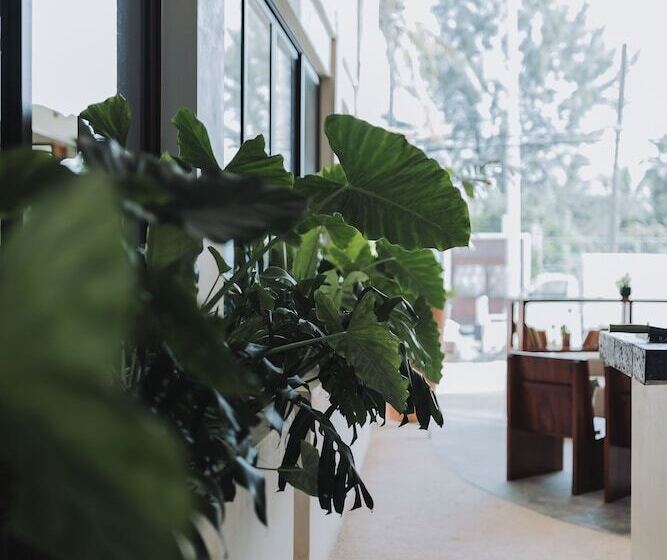 هتل Casa Barbara Holbox