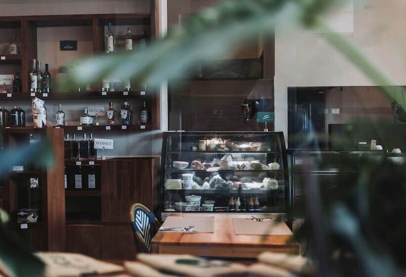 هتل Casa Barbara Holbox