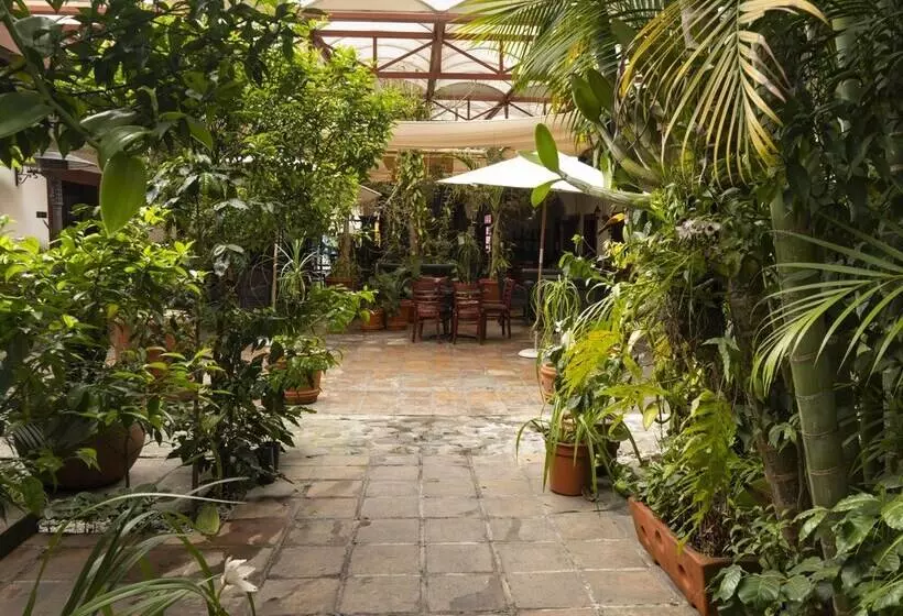 هتل Casa Real Del Cafe