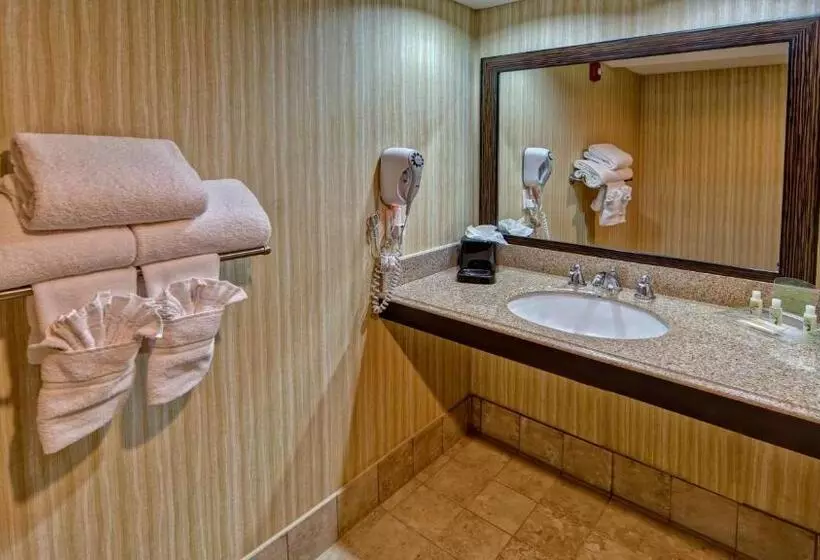 Clarion Hotel & Suites Conference Center Memphis Airport