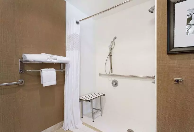 هتل Hampton Inn & Suites Birmingham East Irondale