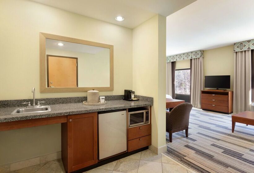 בית מלון כפרי Hampton Inn & Suites Birmingham East Irondale