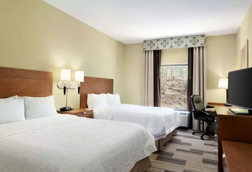 هتل Hampton Inn & Suites Birmingham East Irondale