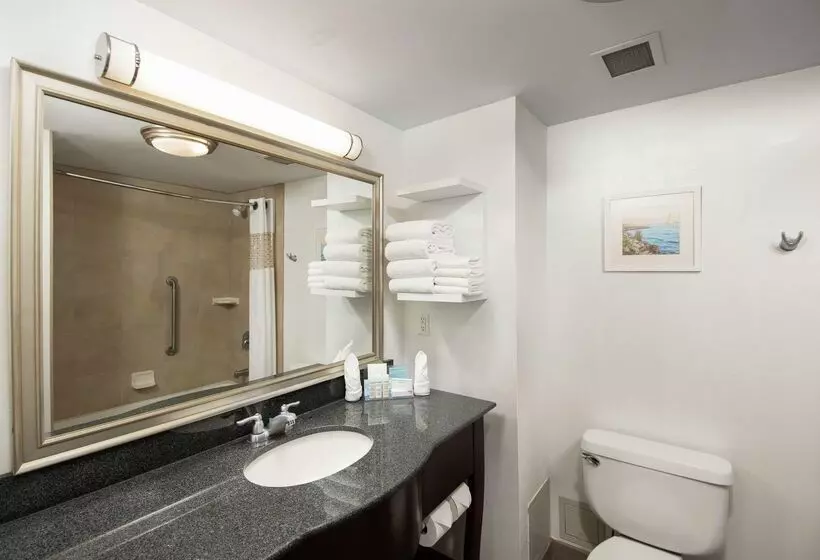 בית מלון כפרי Hampton Inn & Suites Barrie