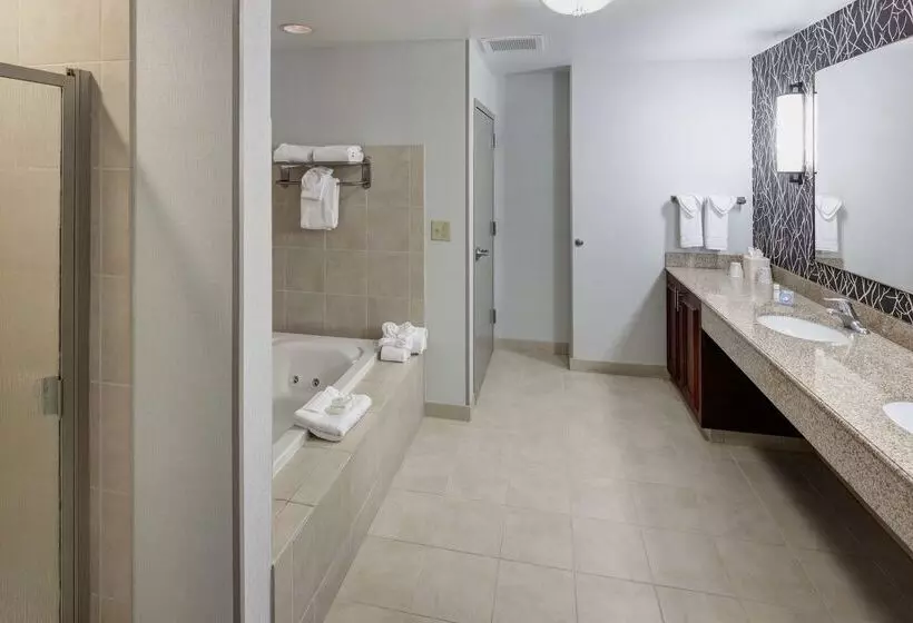 هتل Hilton Garden Inn Nashville Vanderbilt