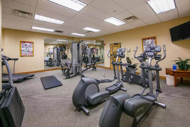 فندق Holiday Inn Club Vacations Smoky Mountain Resort, An Ihg