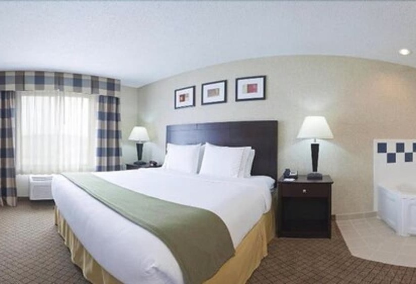 Holiday Inn Express Hotel & Suites Anderson, An Ihg