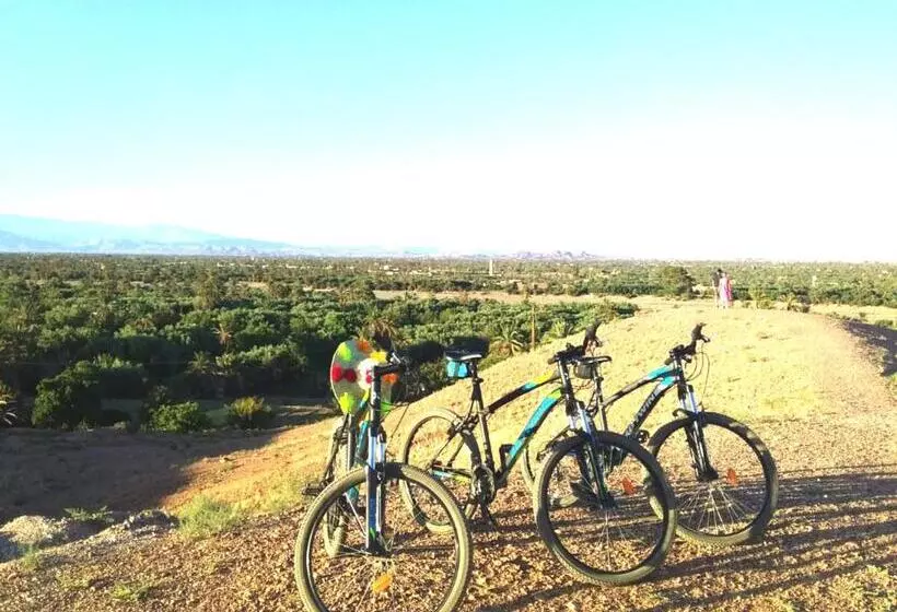 Отель Kasbah Elmehdaoui