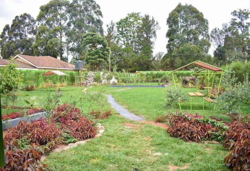 هتل The Nest Resort