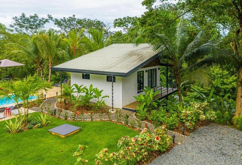 The Sutton   Boutique Jungle Experience