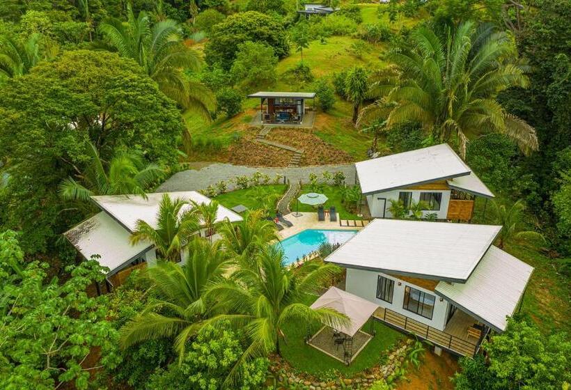 The Sutton   Boutique Jungle Experience