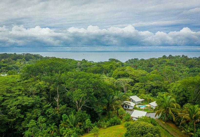 The Sutton   Boutique Jungle Experience