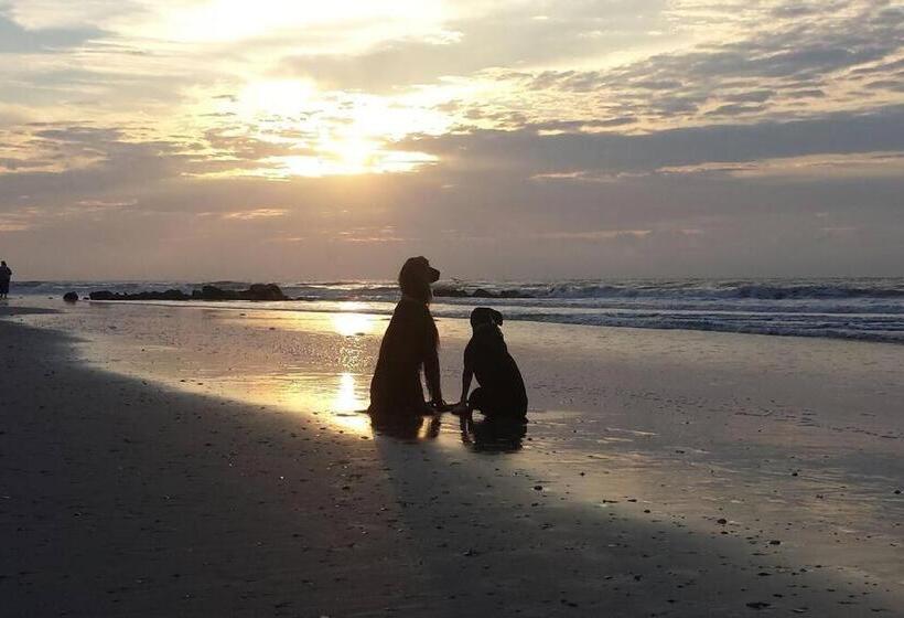 호텔 Folly With Marsh And Sunset Views