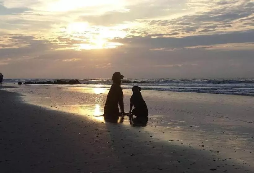 Hotelli Folly With Marsh And Sunset Views