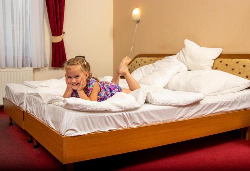 酒店 Imperial Gyogyszallo Es Gyogyfurdo