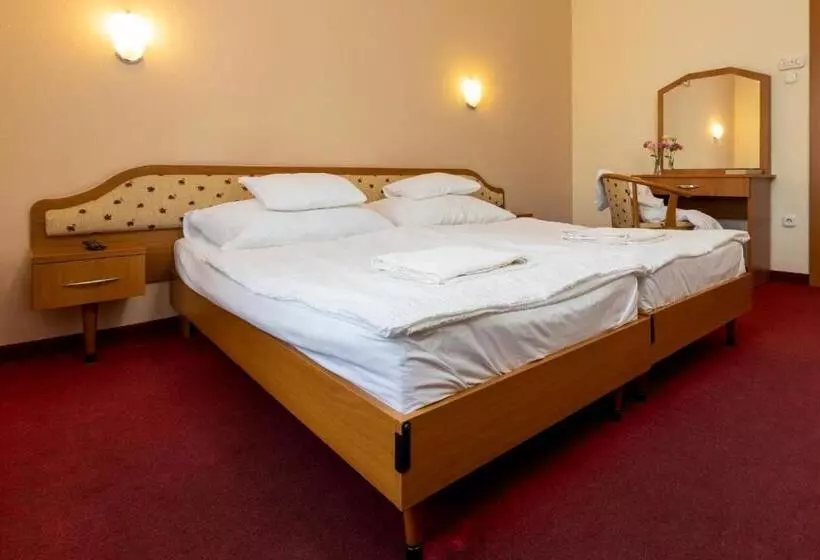 ホテル Imperial Gyogyszallo Es Gyogyfurdo