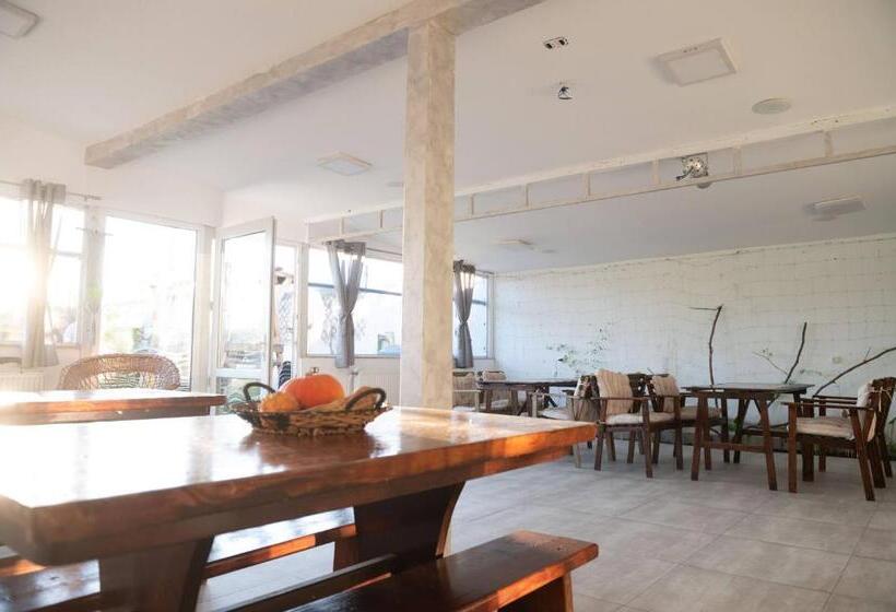 پانسیون Casa Dumitrescu