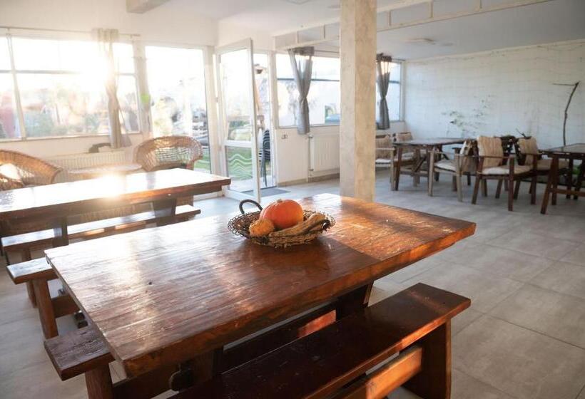 پانسیون Casa Dumitrescu